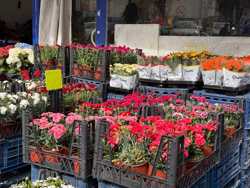 An outdoor display of flowering plants arranged in black plastic crates on a sidewalk. The collection includes pink, red, white, yellow, and orange blooms, each potted in small terracotta containers. 